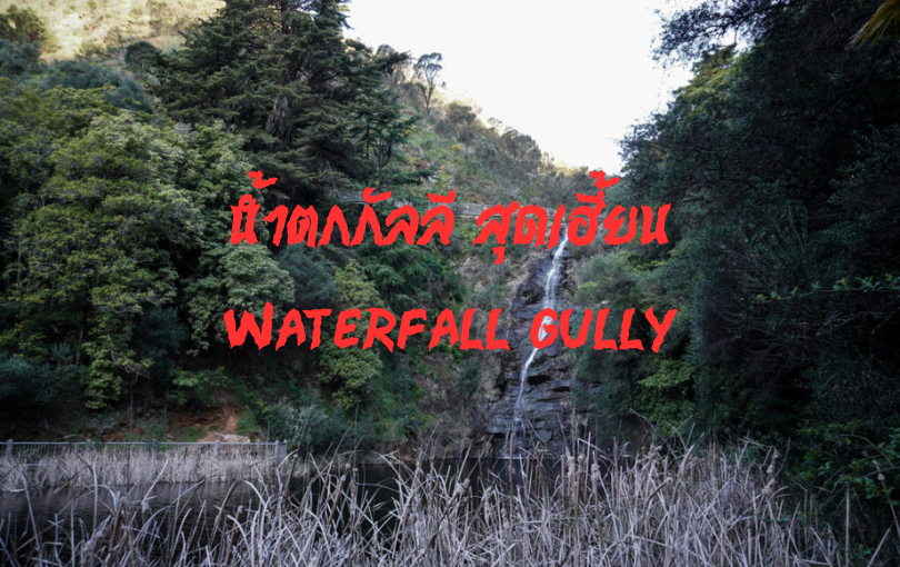 น้ำตกกัลลี สุดเฮี้ยน Waterfall Gully